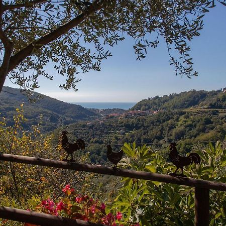 Pietrantica - Affittacamere Con Giardino Nuova Apertura A Trebiano -Citr ภายนอก รูปภาพ