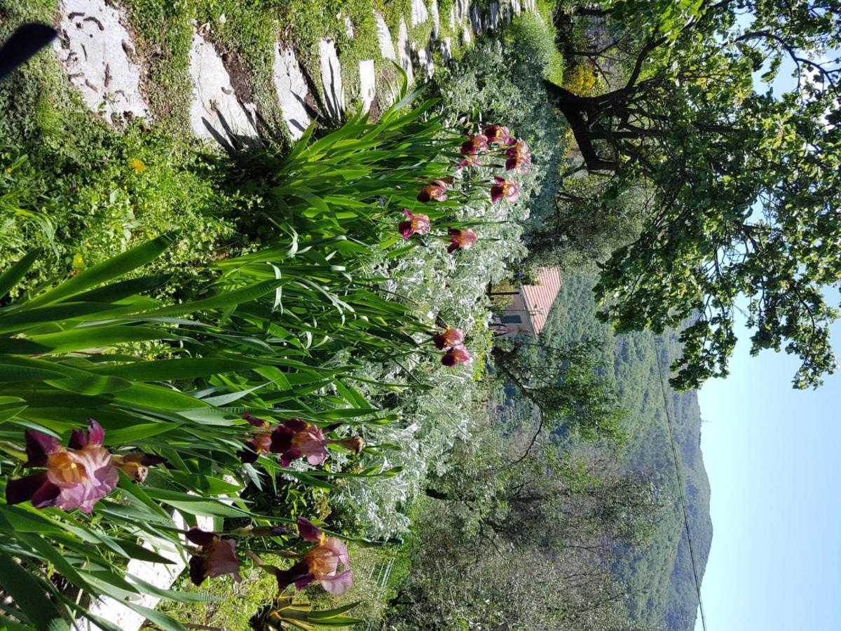 Pietrantica - Affittacamere Con Giardino Nuova Apertura A Trebiano -Citr ภายนอก รูปภาพ