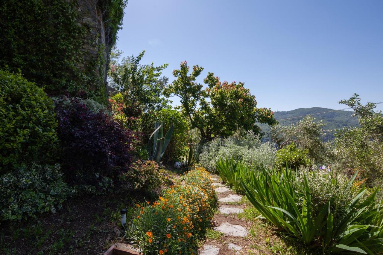 Pietrantica - Affittacamere Con Giardino Nuova Apertura A Trebiano -Citr ภายนอก รูปภาพ