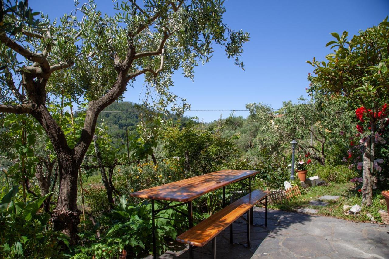 Pietrantica - Affittacamere Con Giardino Nuova Apertura A Trebiano -Citr ภายนอก รูปภาพ