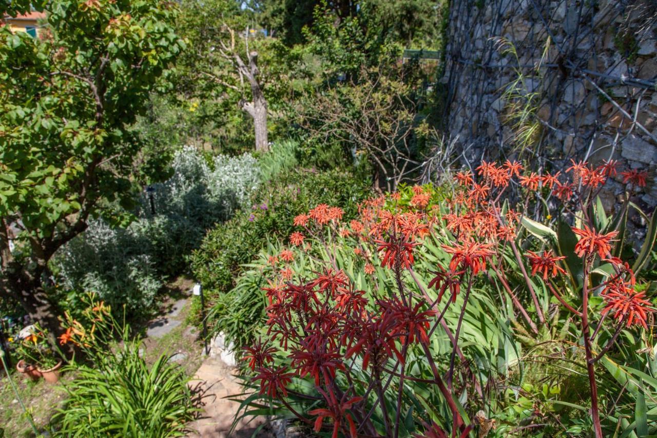 Pietrantica - Affittacamere Con Giardino Nuova Apertura A Trebiano -Citr ภายนอก รูปภาพ